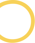 Porção de morangos