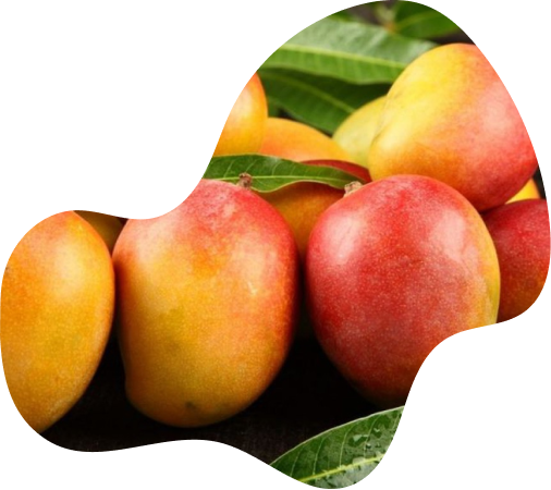 Porção de morangos